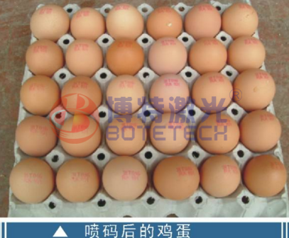雞蛋可以用激光噴碼機嗎？